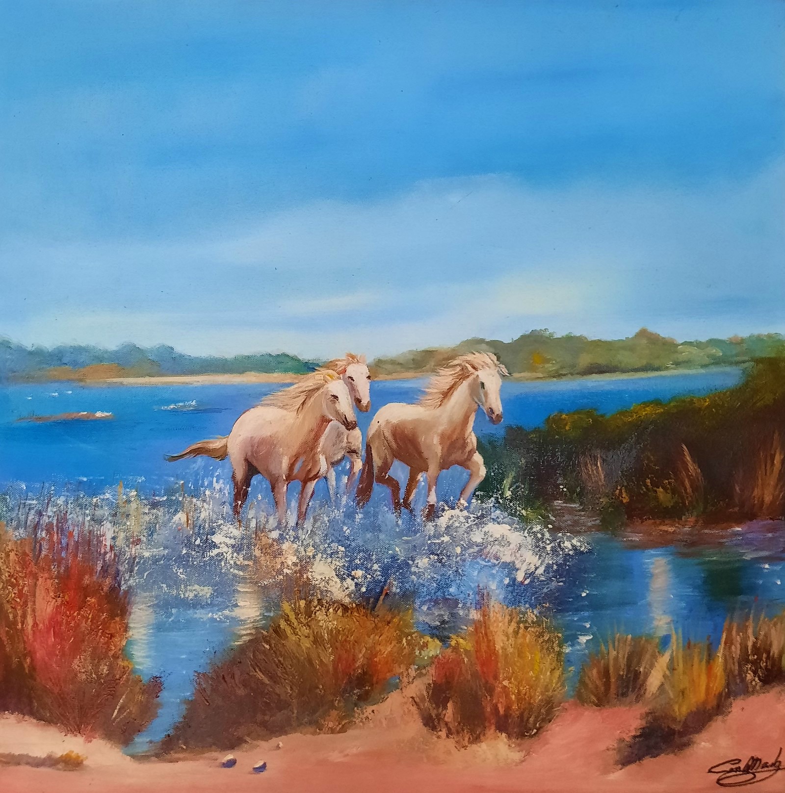 Caballos en los aiguamolls